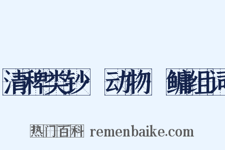 清稗类钞·动物·鳙组词是什么意思的图片